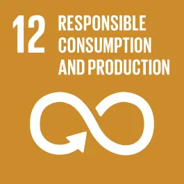 UN graphic - responsible consumption and production