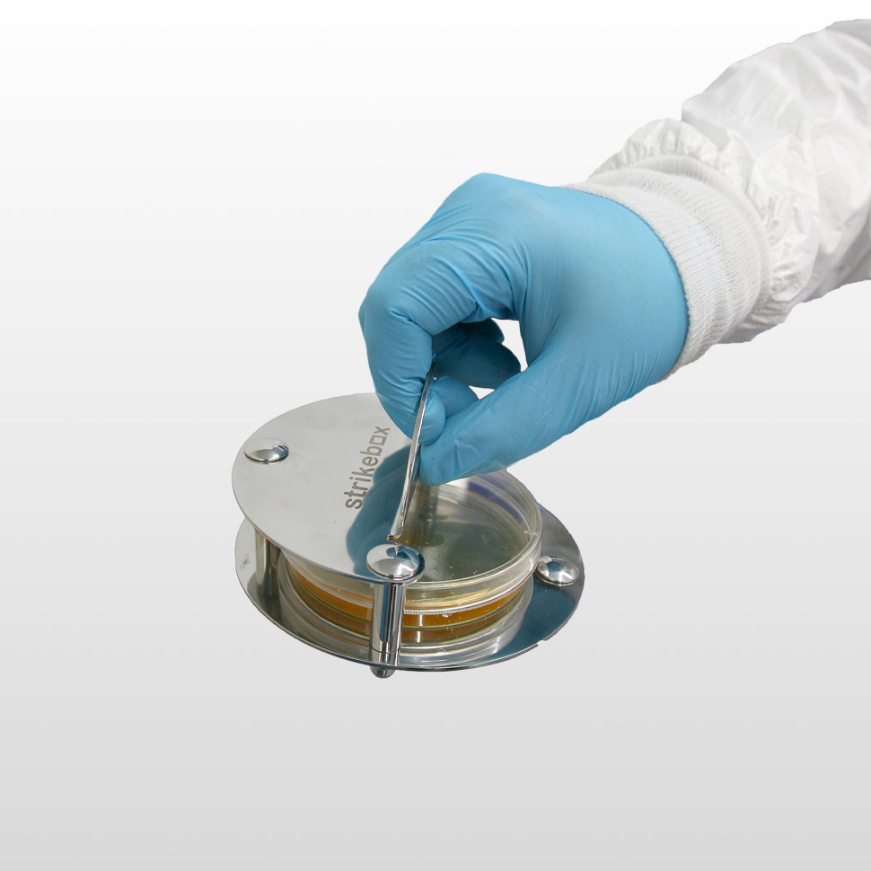 holder for petri dish storage